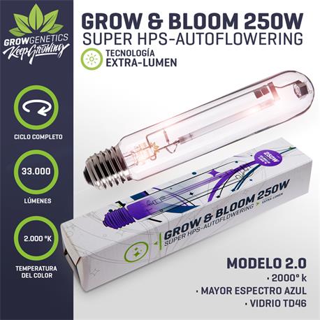 ampolleta-grow-bloom-250w-grow-genetics-1 Ampolleta Grow & Bloom 250w - Grow Genetics - Imagen 1