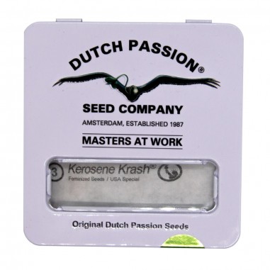 dutch-passion-kerosene-krash-fem-x3 KEROSENE KRASH FEM X3-DUTCH PASSION - Imagen 1