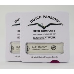 PROMOCION 2X1 MAZAR AUTO X3-DUTCH PASSION