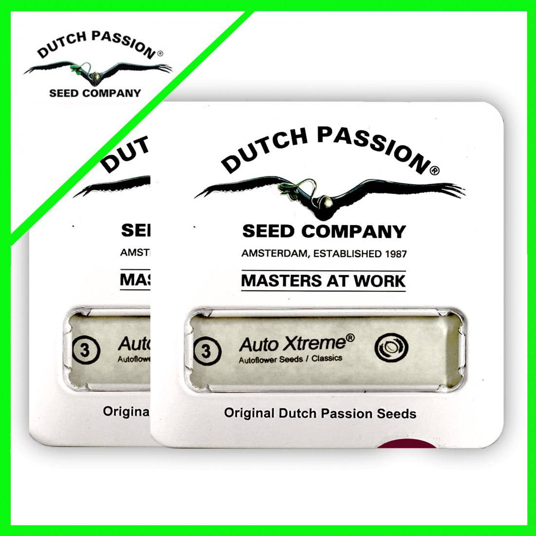 2 PROMOCION 2X1 XTREME AUTO X3-DUTCH PASSION - Imagen 1
