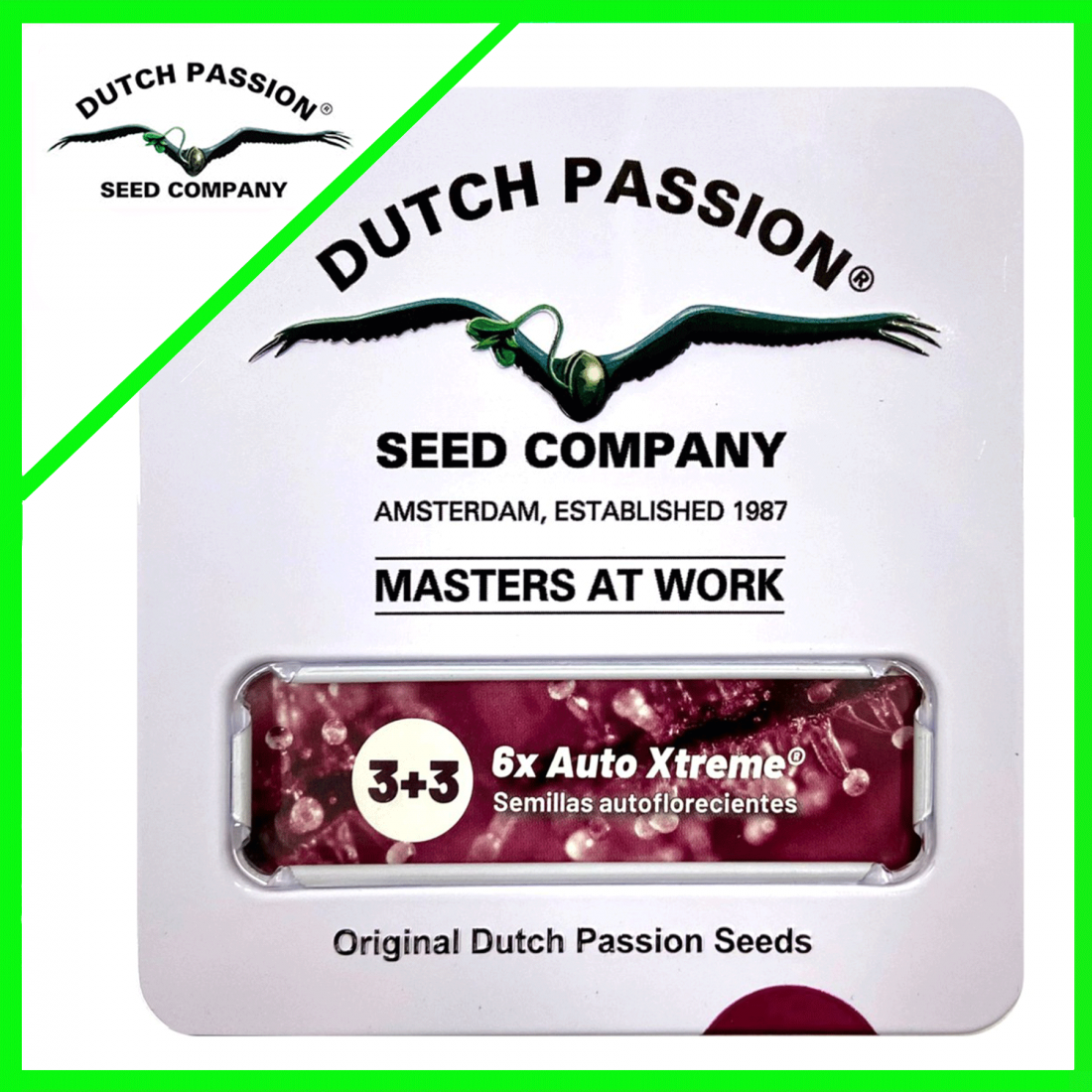 3 PROMOCION XTREME AUTO X3+3-DUTCH PASSION - Imagen 1