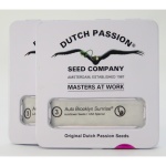 PROMOCION 2X1 BROOKLYN SUNRISE AUTO X3-DUTCH PASSION