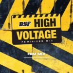 High Voltage Feminized Mix X4 - Imagen 3