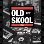 Old Skool Feminized Mix X4 - Imagen 2
