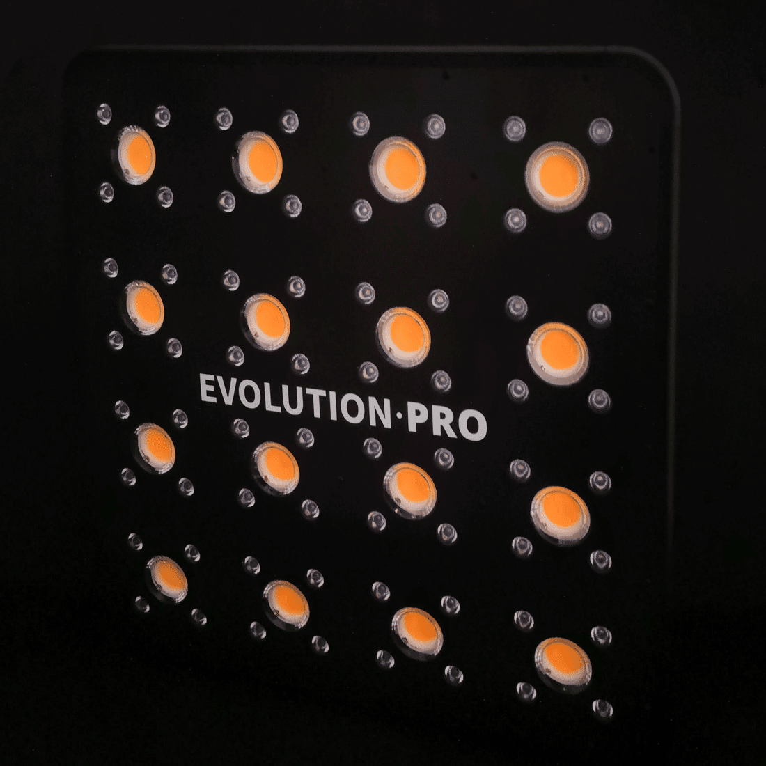 delight-apollo-evolution-pro-16 APOLLO EVOLUTION PRO 16 480W-DELIGHT - Imagen 1