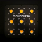 APOLLO EVOLUTION PRO 9 300W-DELIGHT - Imagen 3