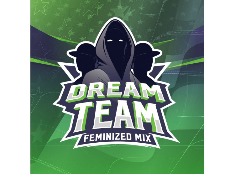 dream-team-feminized-mix-12-semillas-bsf-seeds Dream Team Feminized Mix 12 Semillas Bsf Seeds - Imagen 1