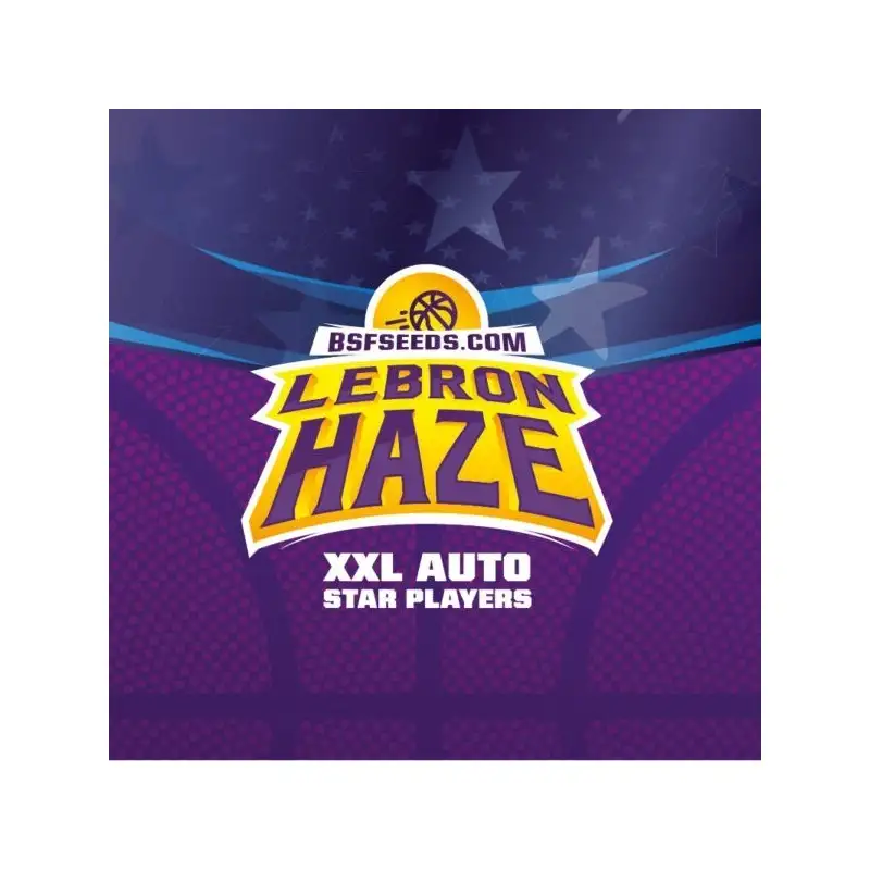 lebron-haze-xxl-auto.jpg-3 Lebron Haze XXL Auto x4 - Imagen 1