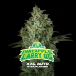 Pineapple Larry OG XXL Auto X4