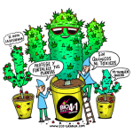 ANTIPLAGA CONCENTRADO 4 EN 1 5LT-BIOPEST - Imagen 2