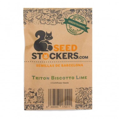triton-biscotto-lime-auto-x3-seedstockers (1) TRITON BISCOTTO LIME AUTO X3 - SEEDSTOCKERS - Imagen 1